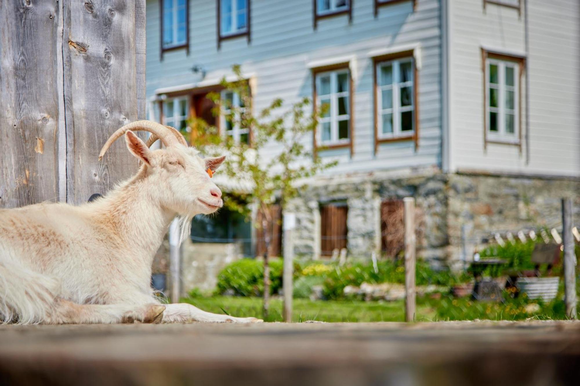 Overvoll Farm Stranda  Exterior photo