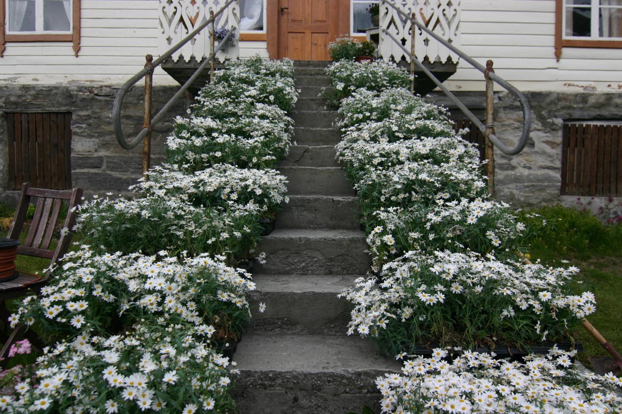 Overvoll Farm Stranda  Exterior photo